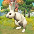 宠物兔模拟器游戏ios苹果版